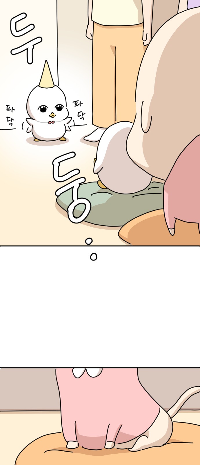 63 페이지