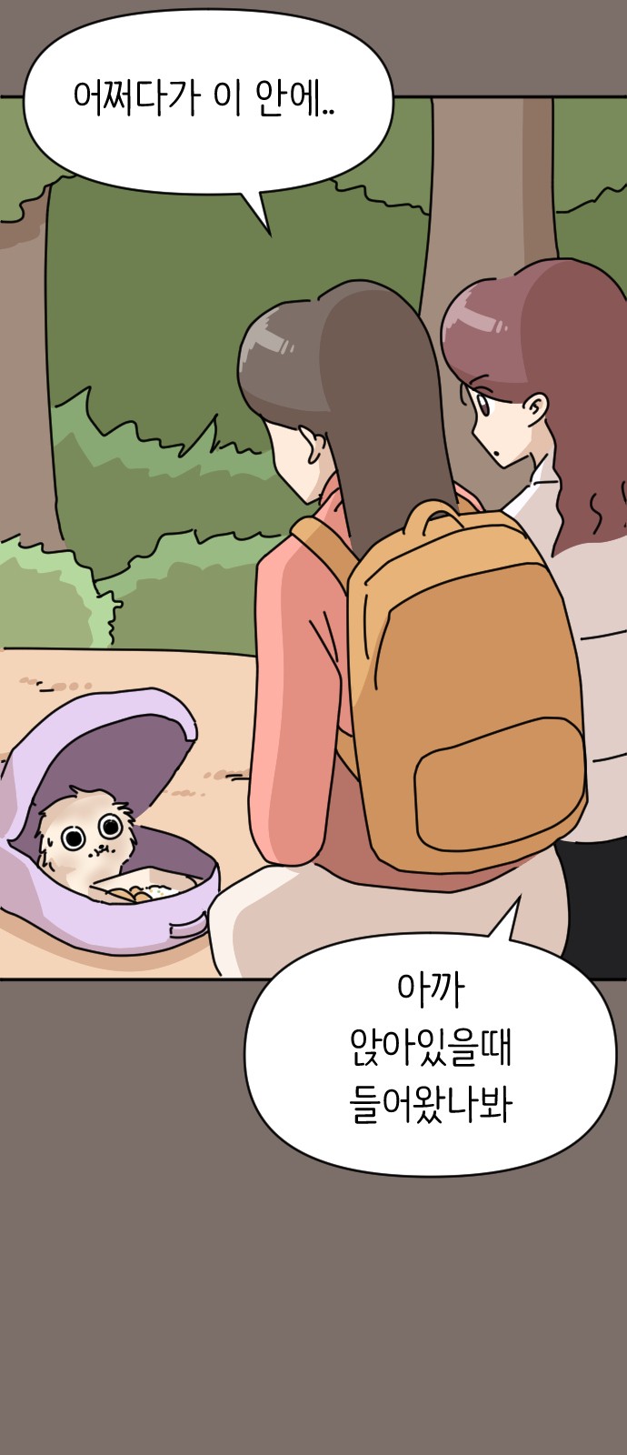 11 페이지