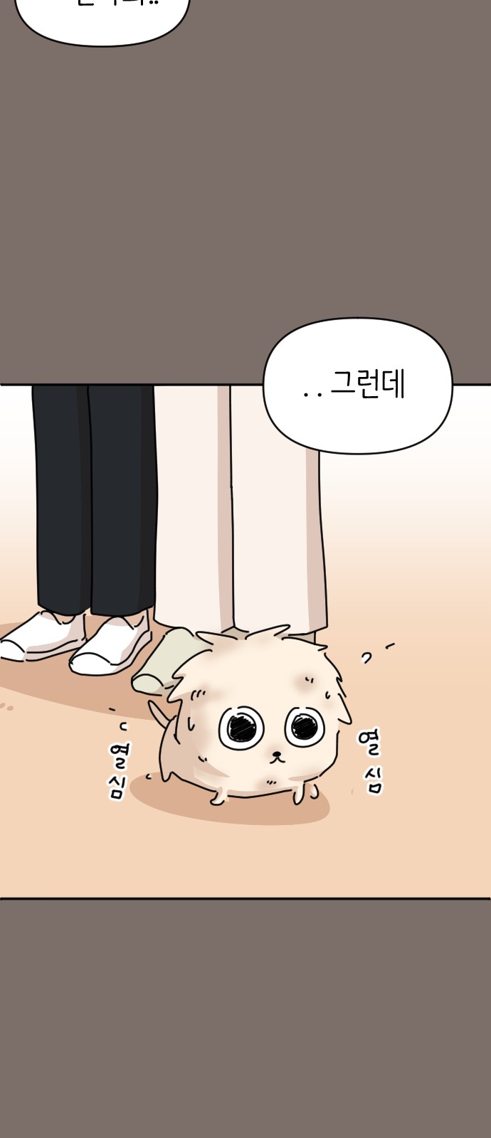 15 페이지