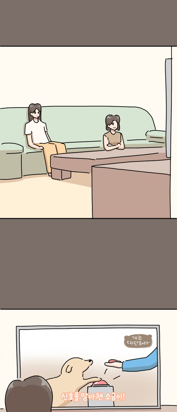 27 페이지