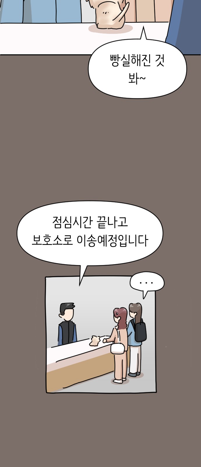 43 페이지