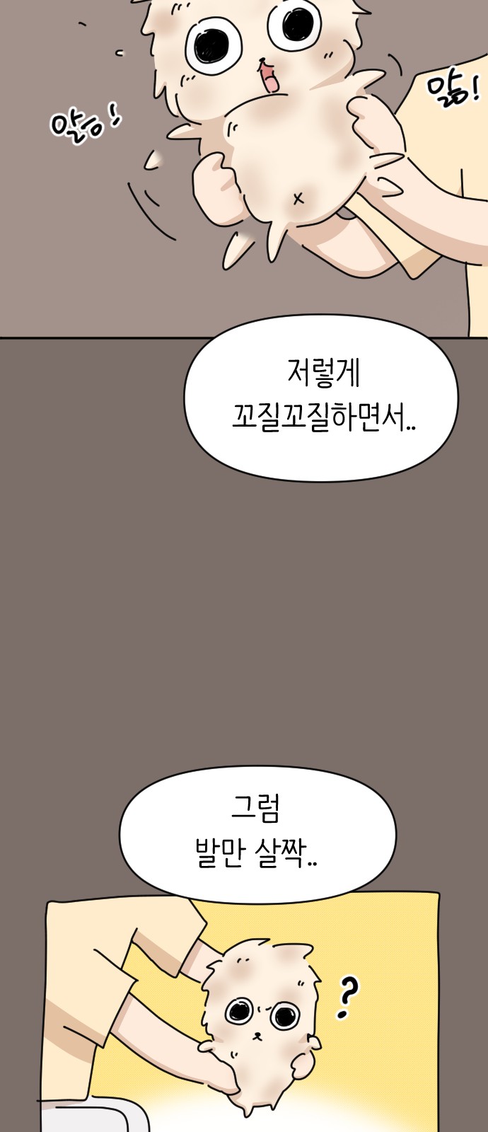 33 페이지
