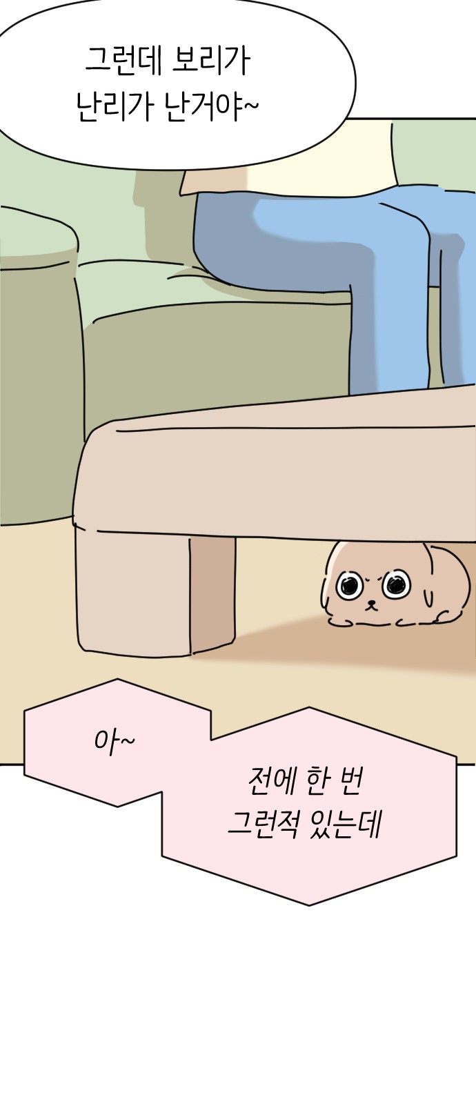 19 페이지