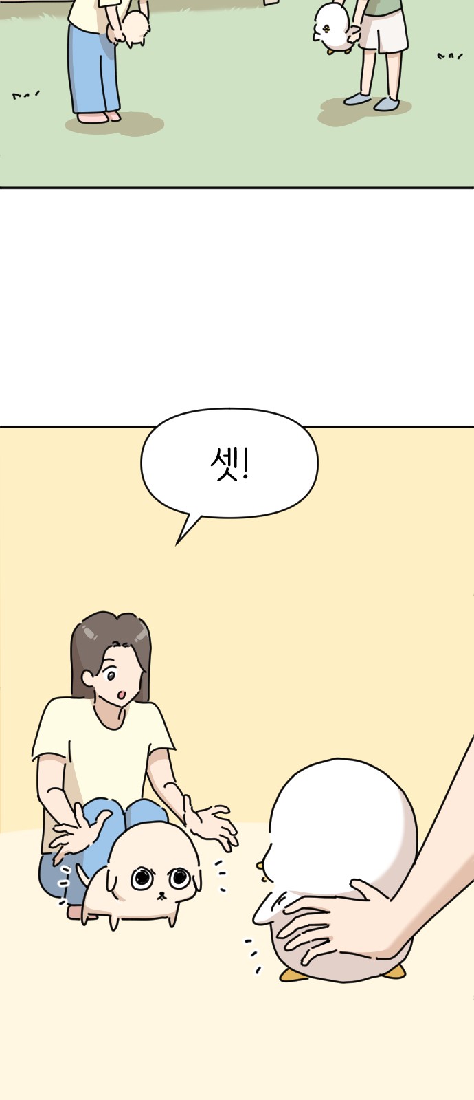 29 페이지