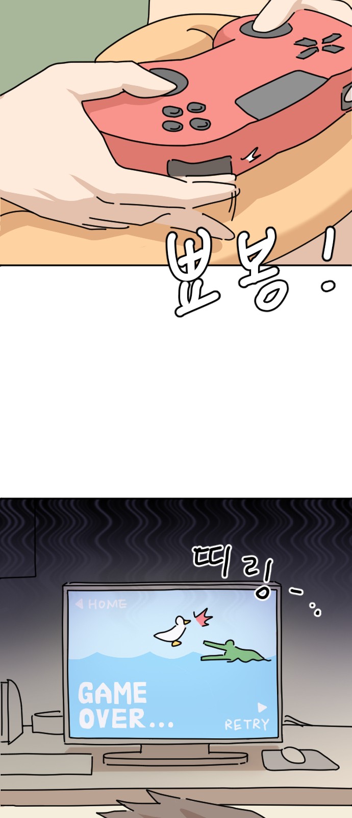 5 페이지