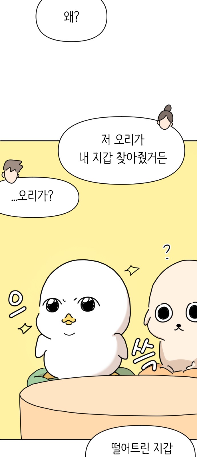 66 페이지