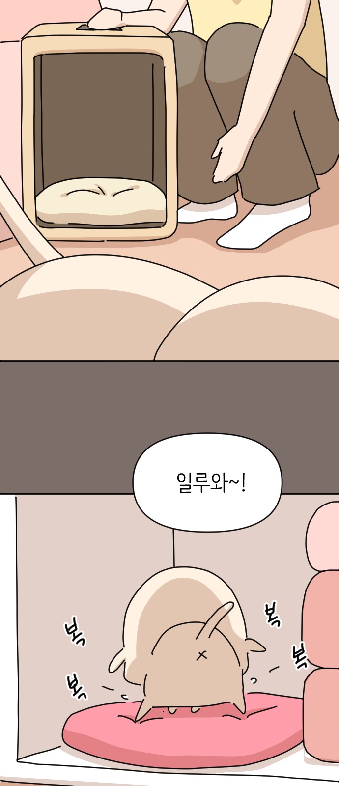 21 페이지