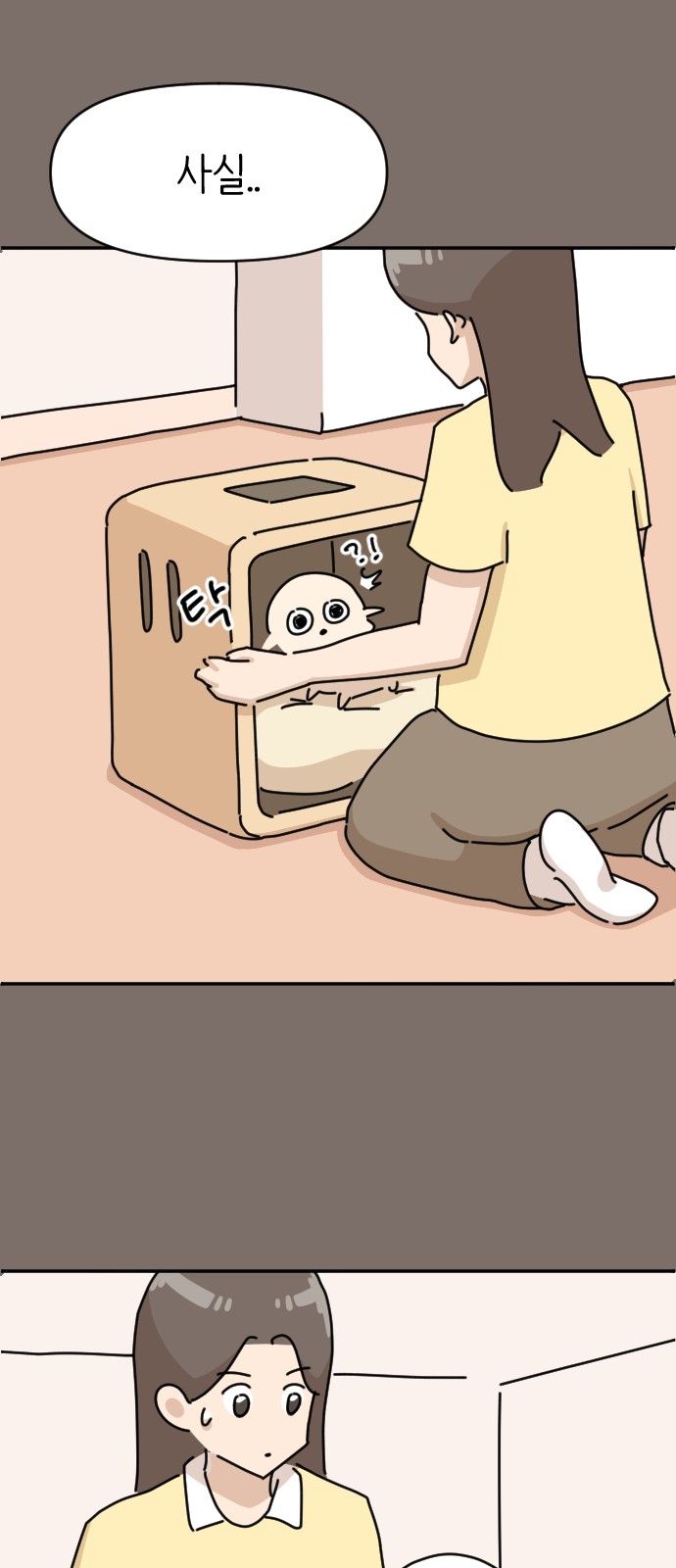51 페이지