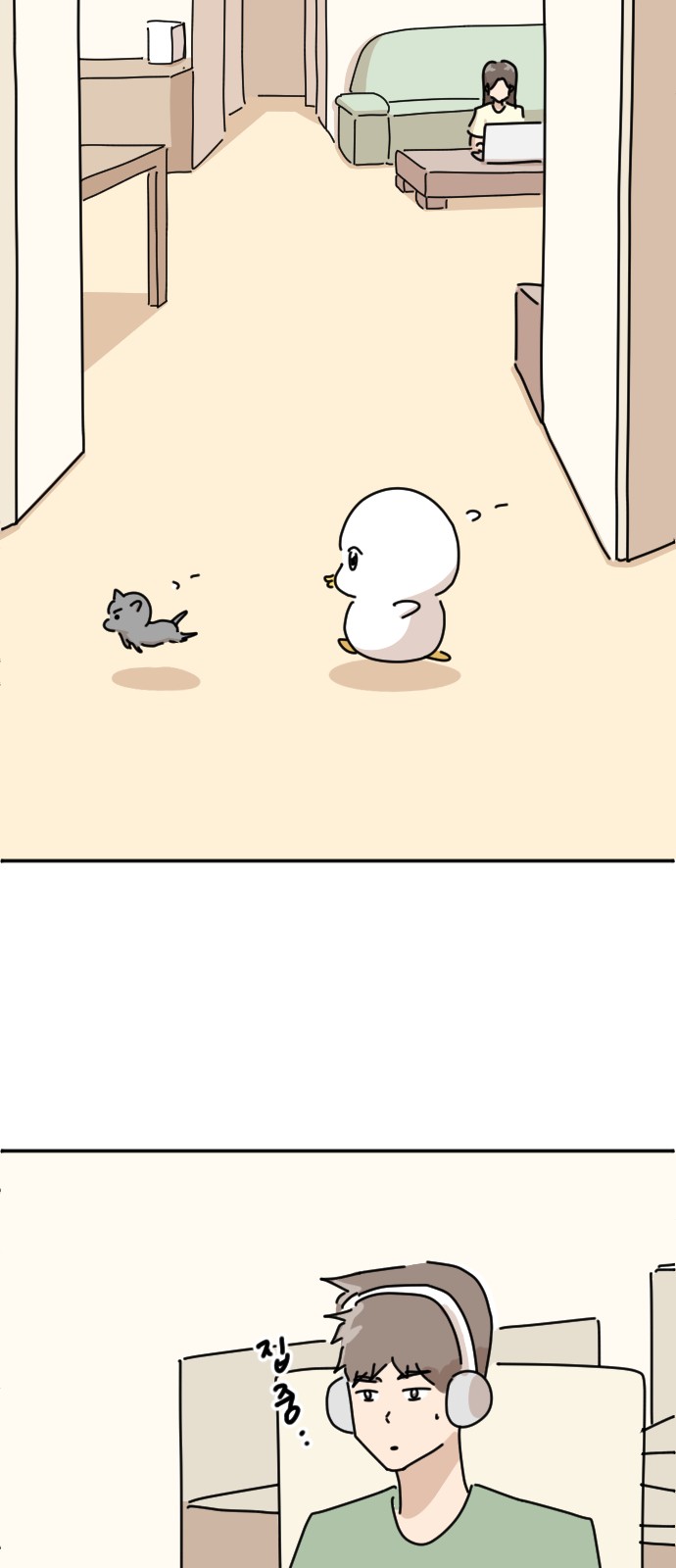 11 페이지