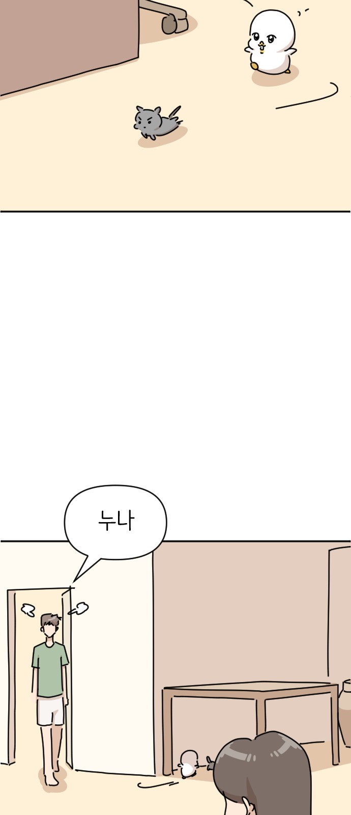 17 페이지