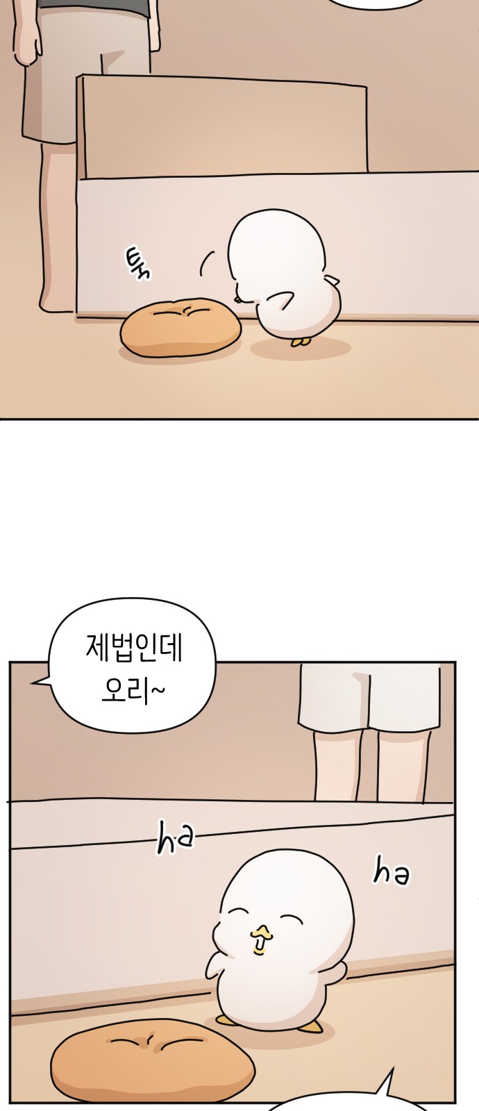 39 페이지