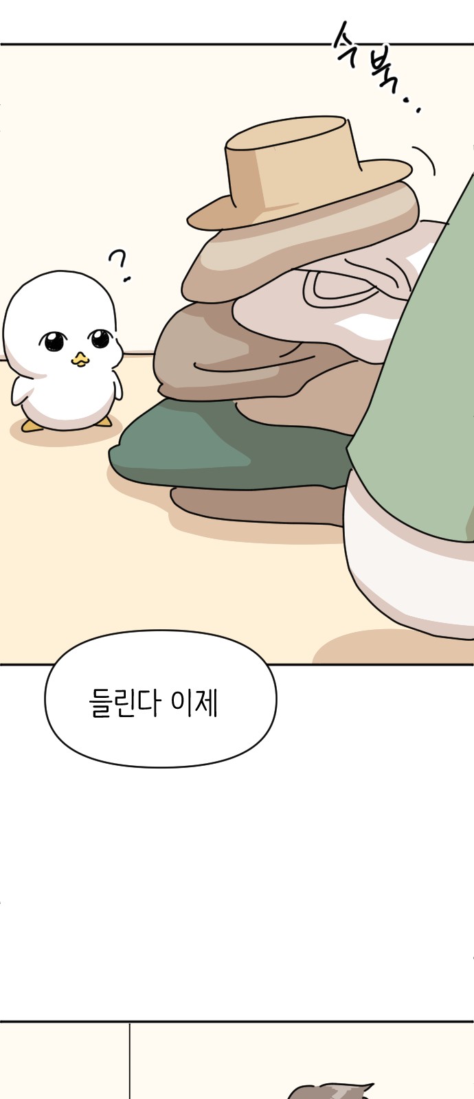 45 페이지