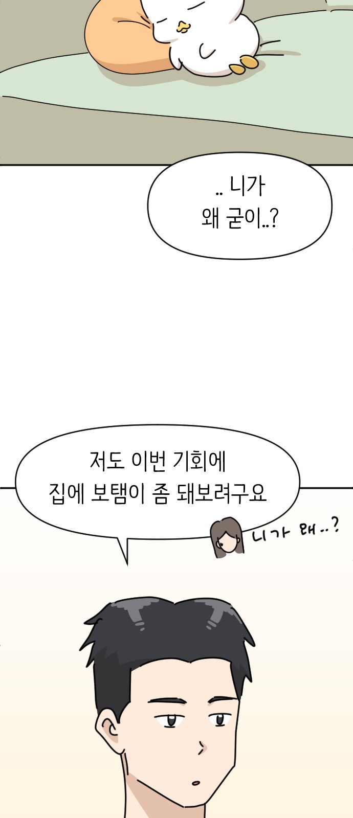 19 페이지