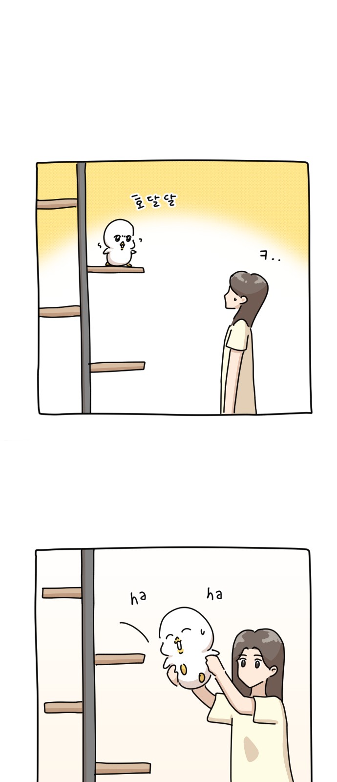 68 페이지
