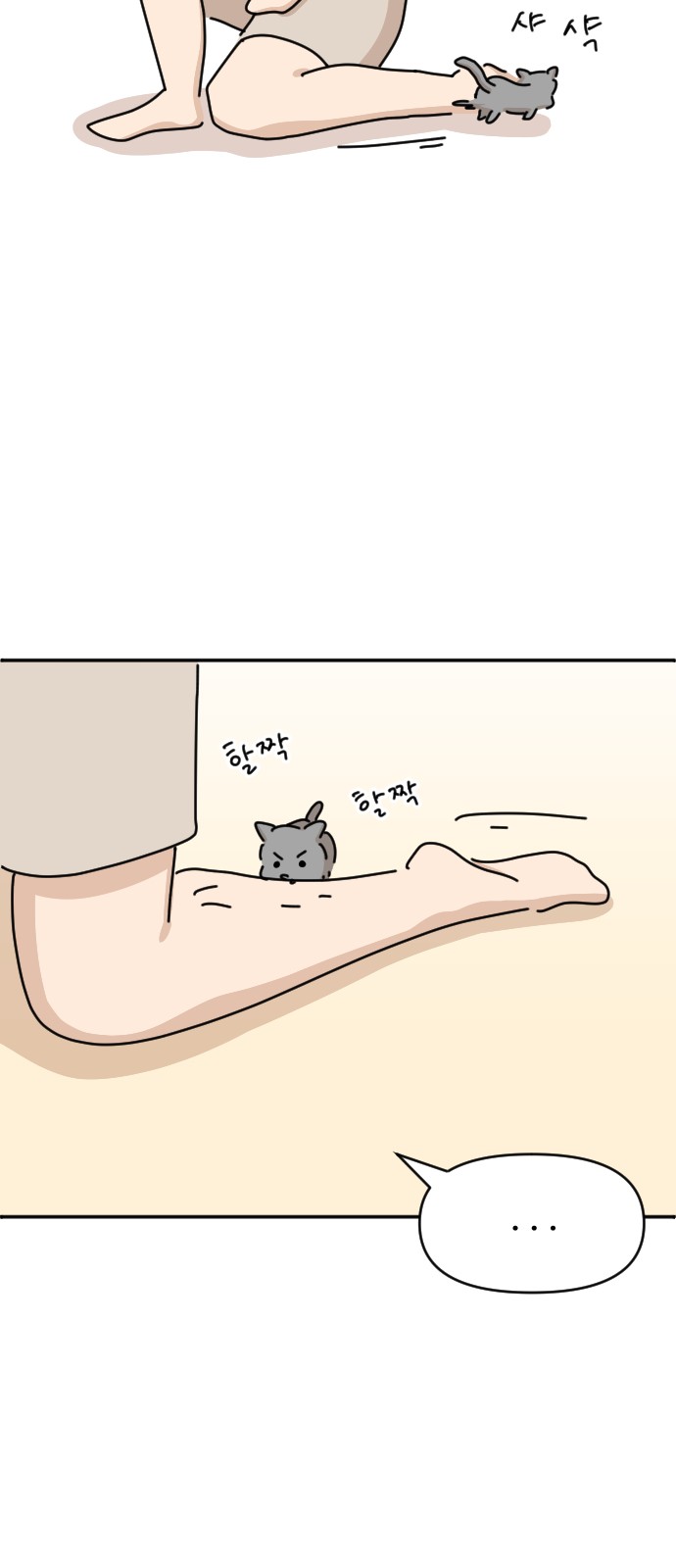 54 페이지