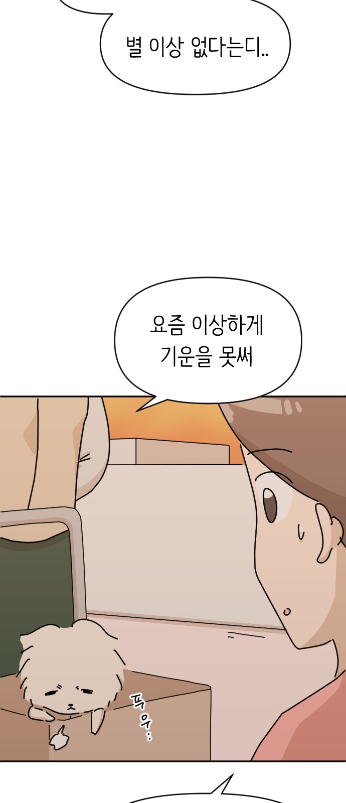 8 페이지