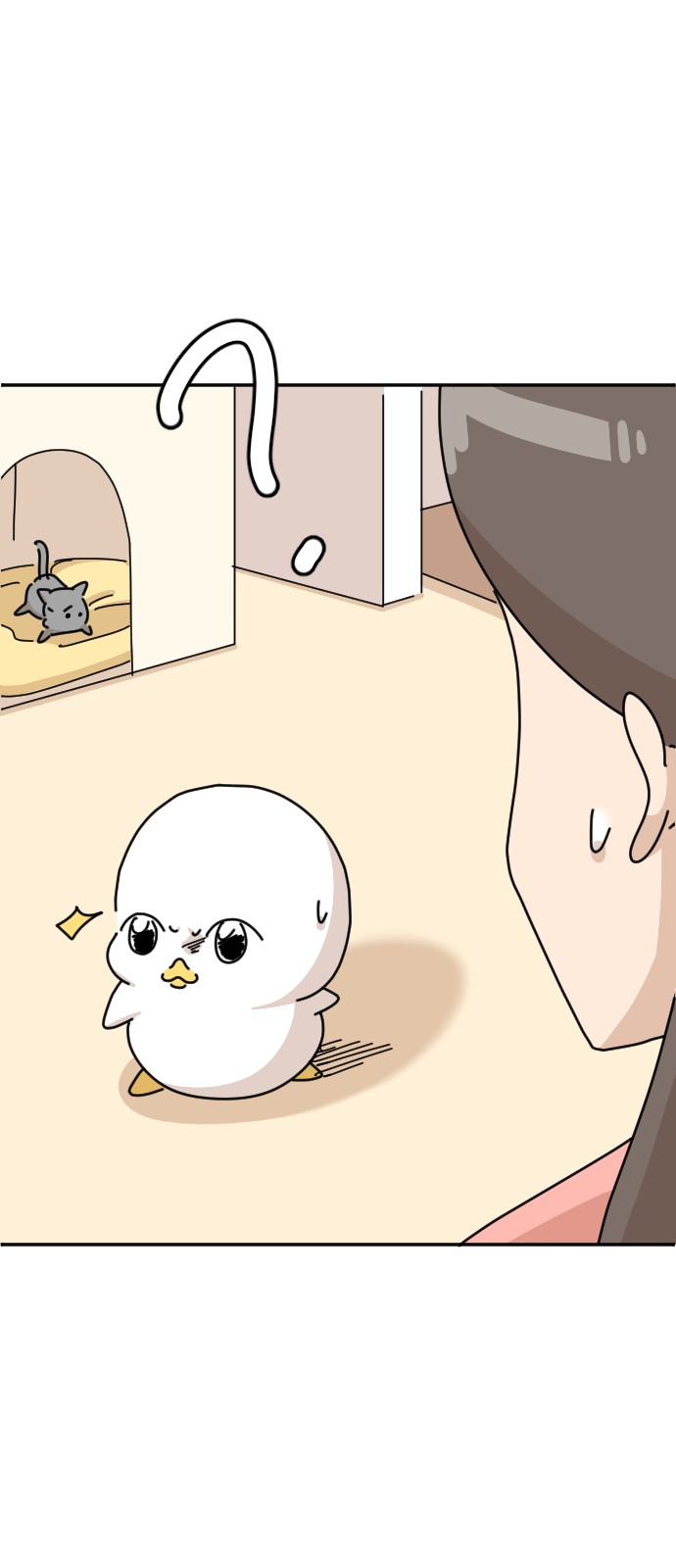 11 페이지