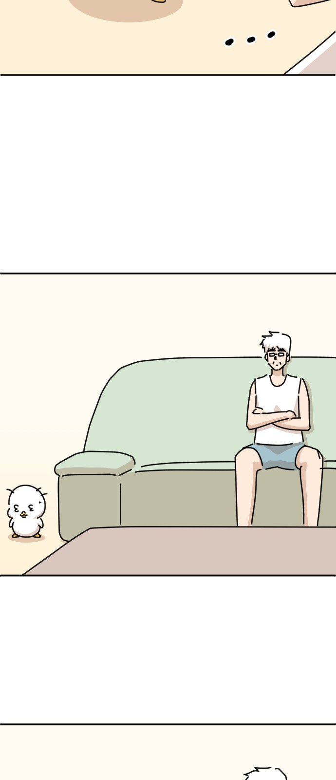 39 페이지