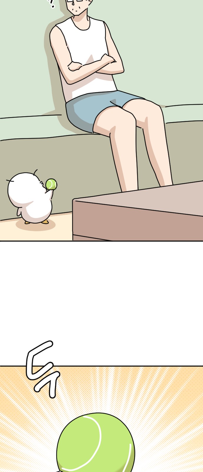 43 페이지