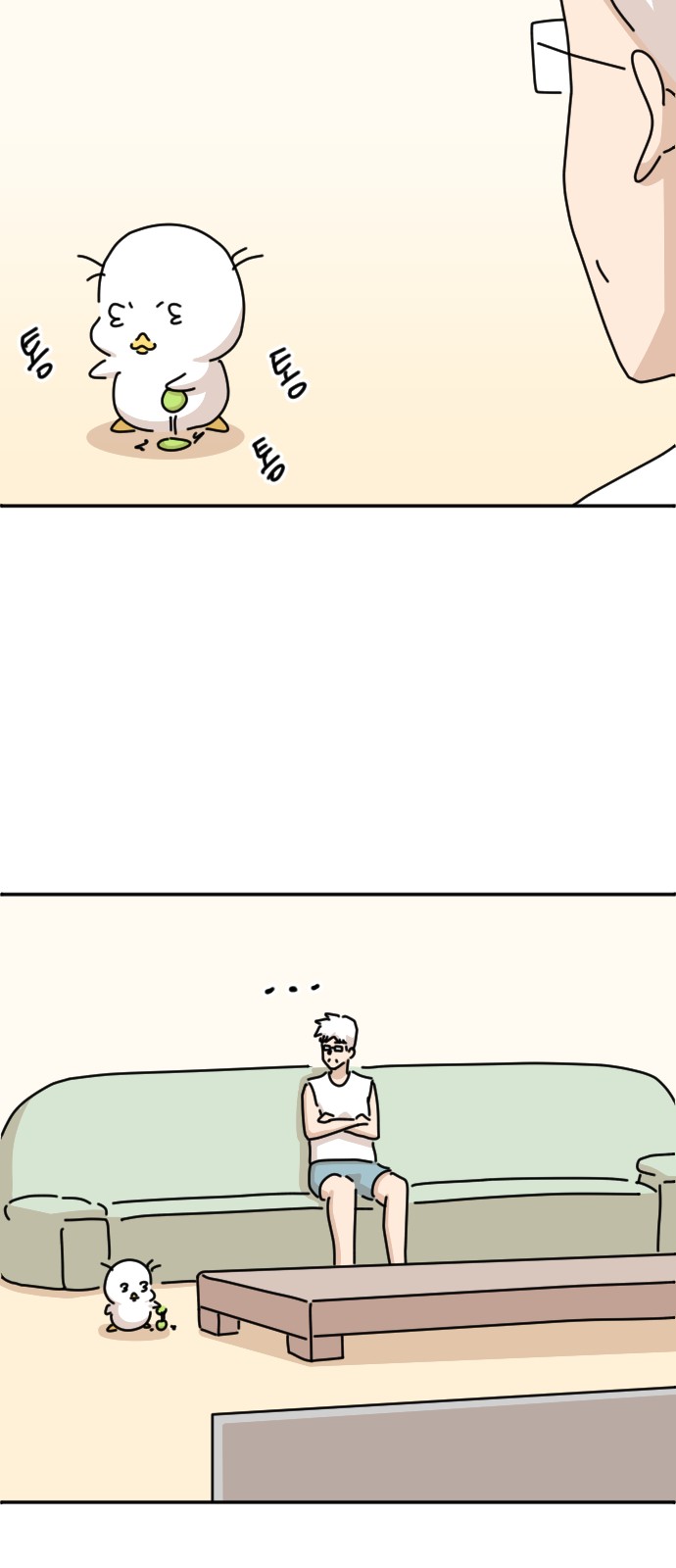 48 페이지