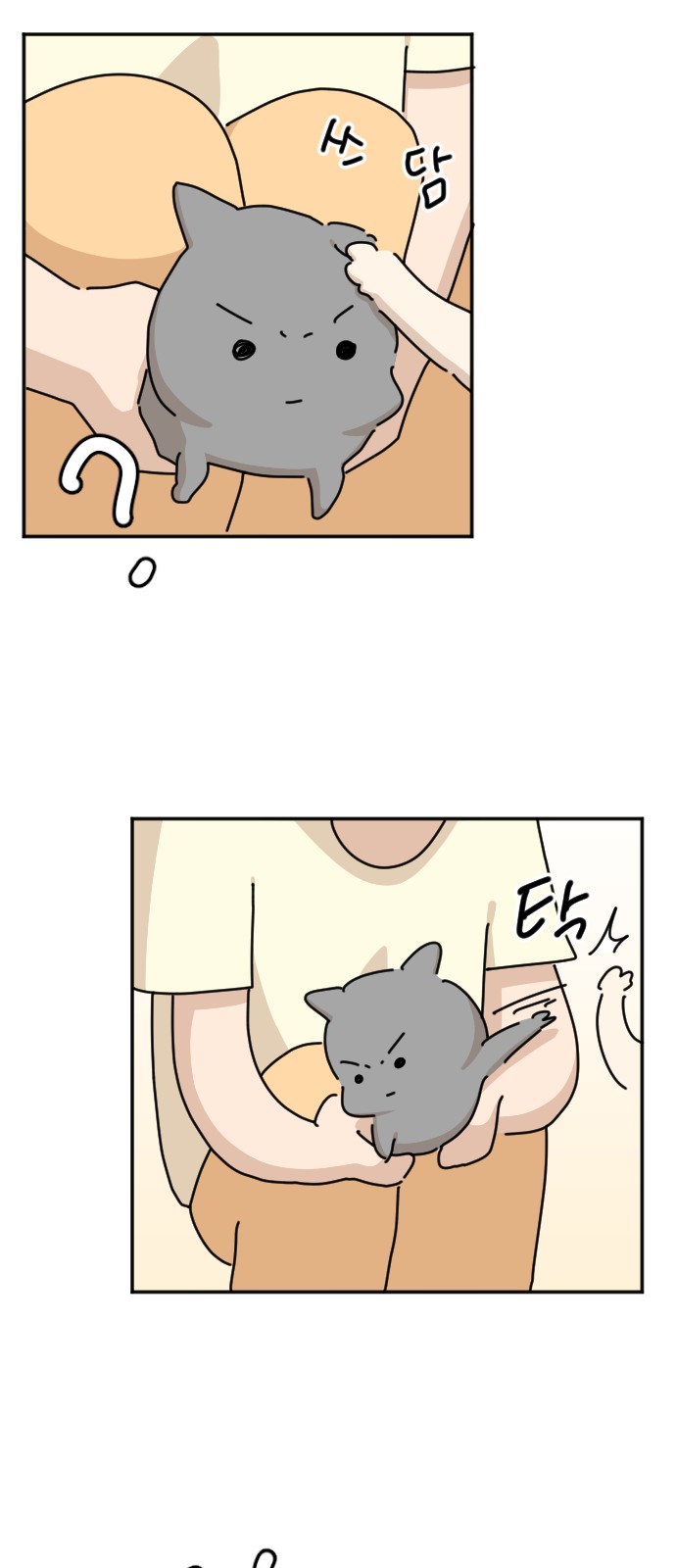 31 페이지