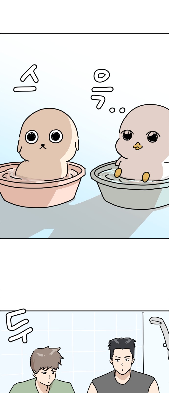 33 페이지
