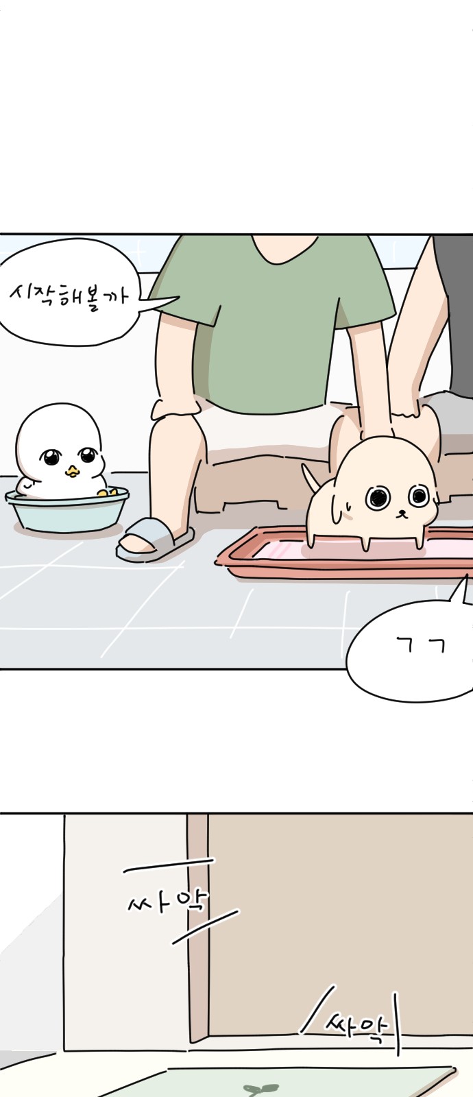 35 페이지