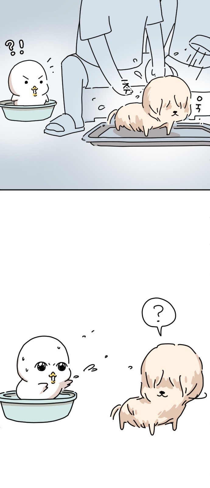 37 페이지