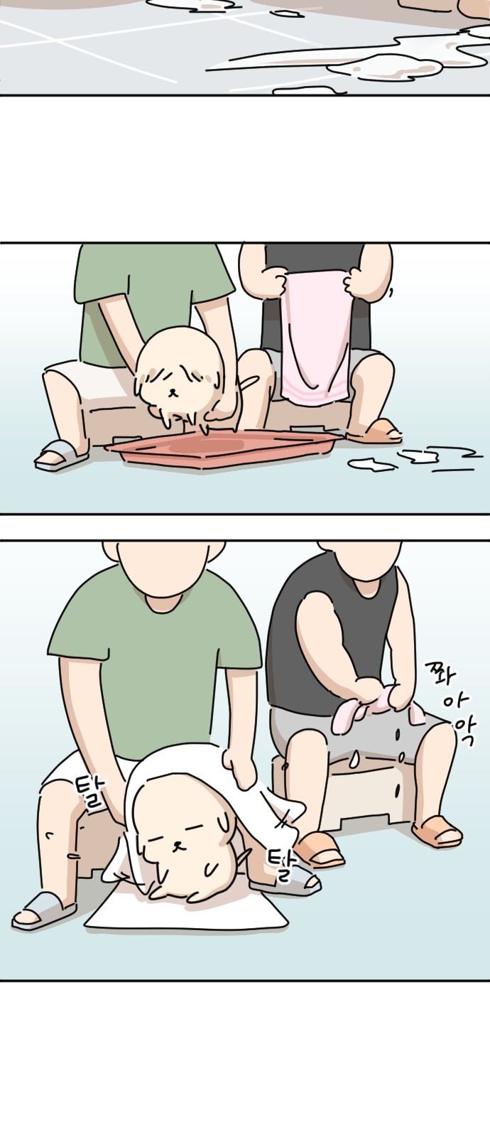 42 페이지
