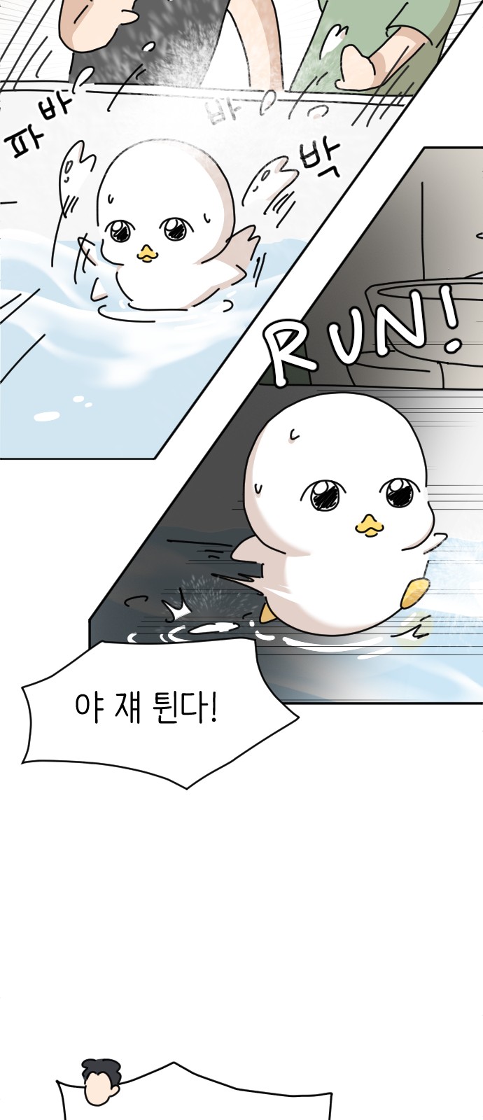 51 페이지