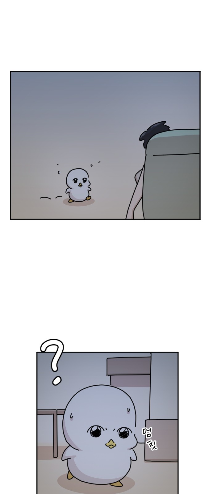 15 페이지