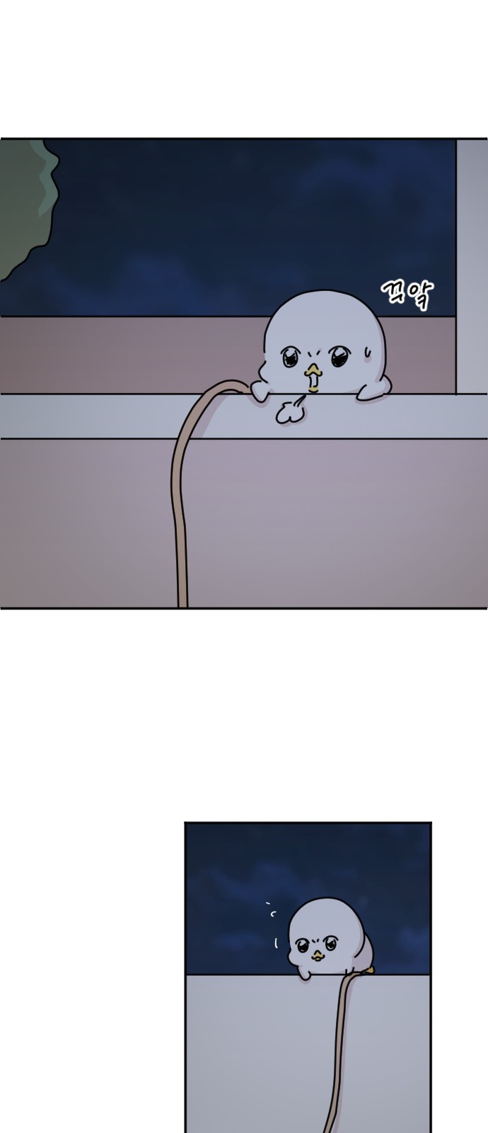 36 페이지