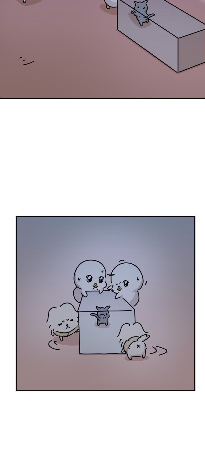 63 페이지