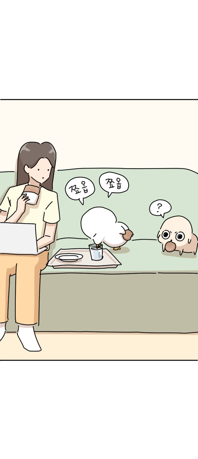 14 페이지