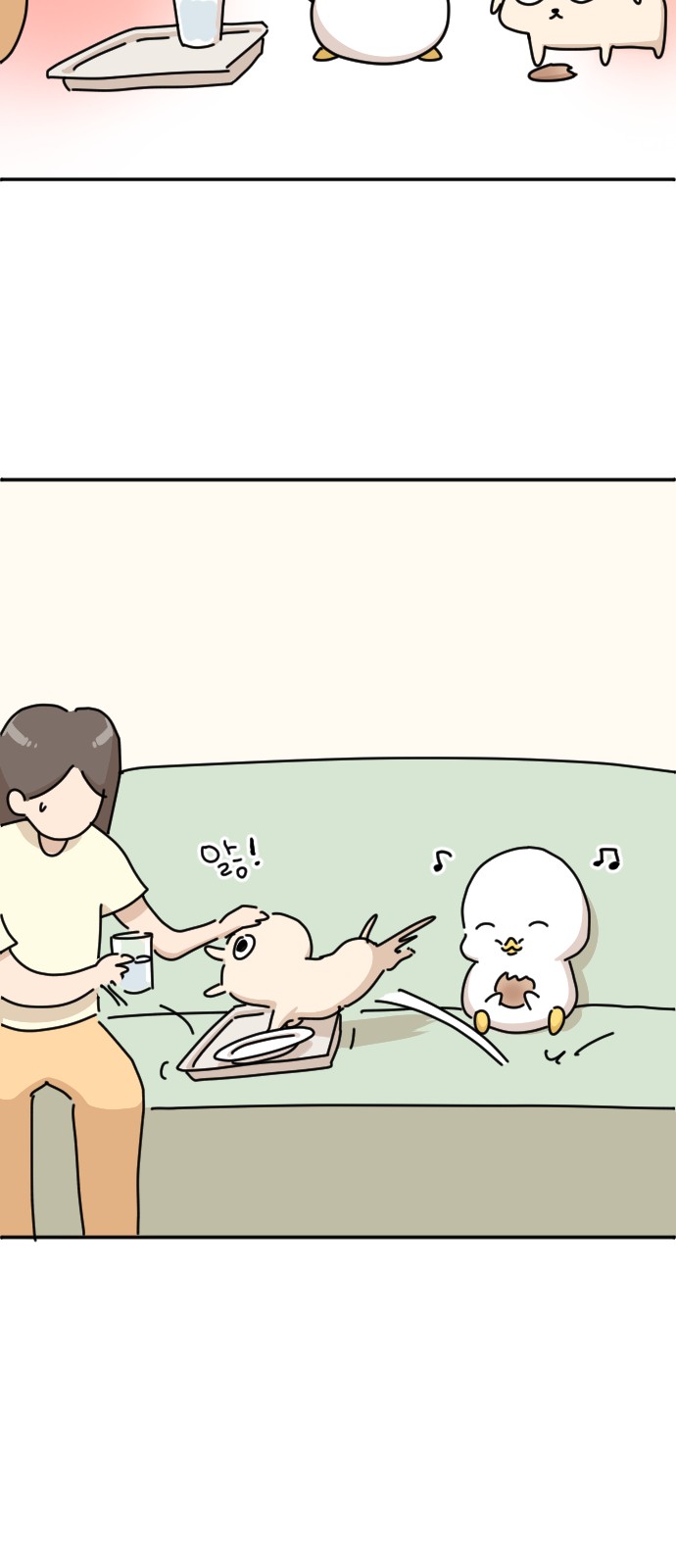 16 페이지