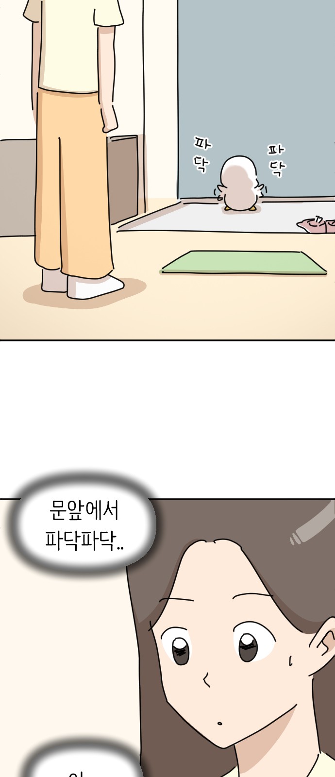50 페이지