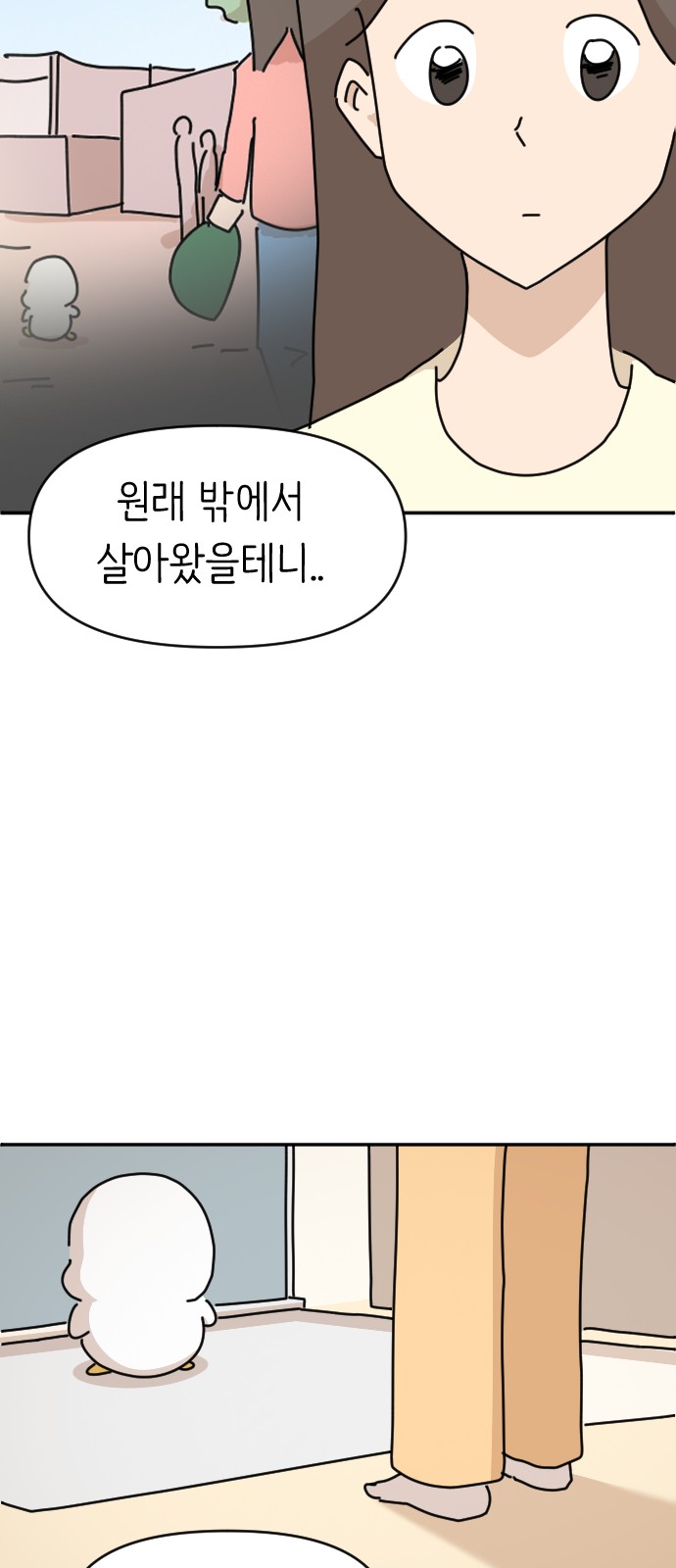 53 페이지
