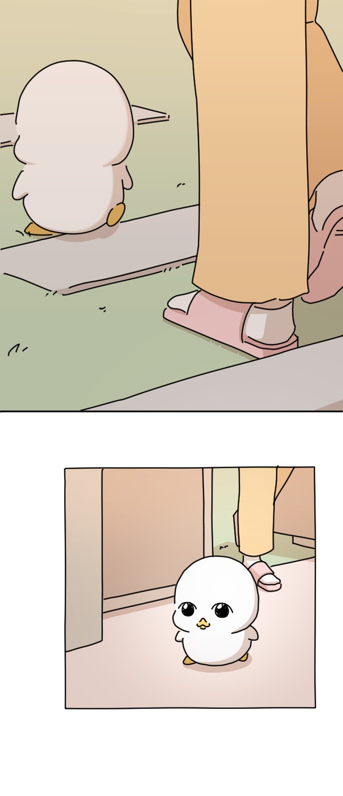 55 페이지