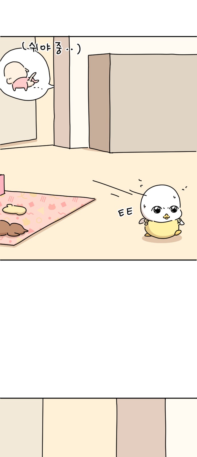 13 페이지