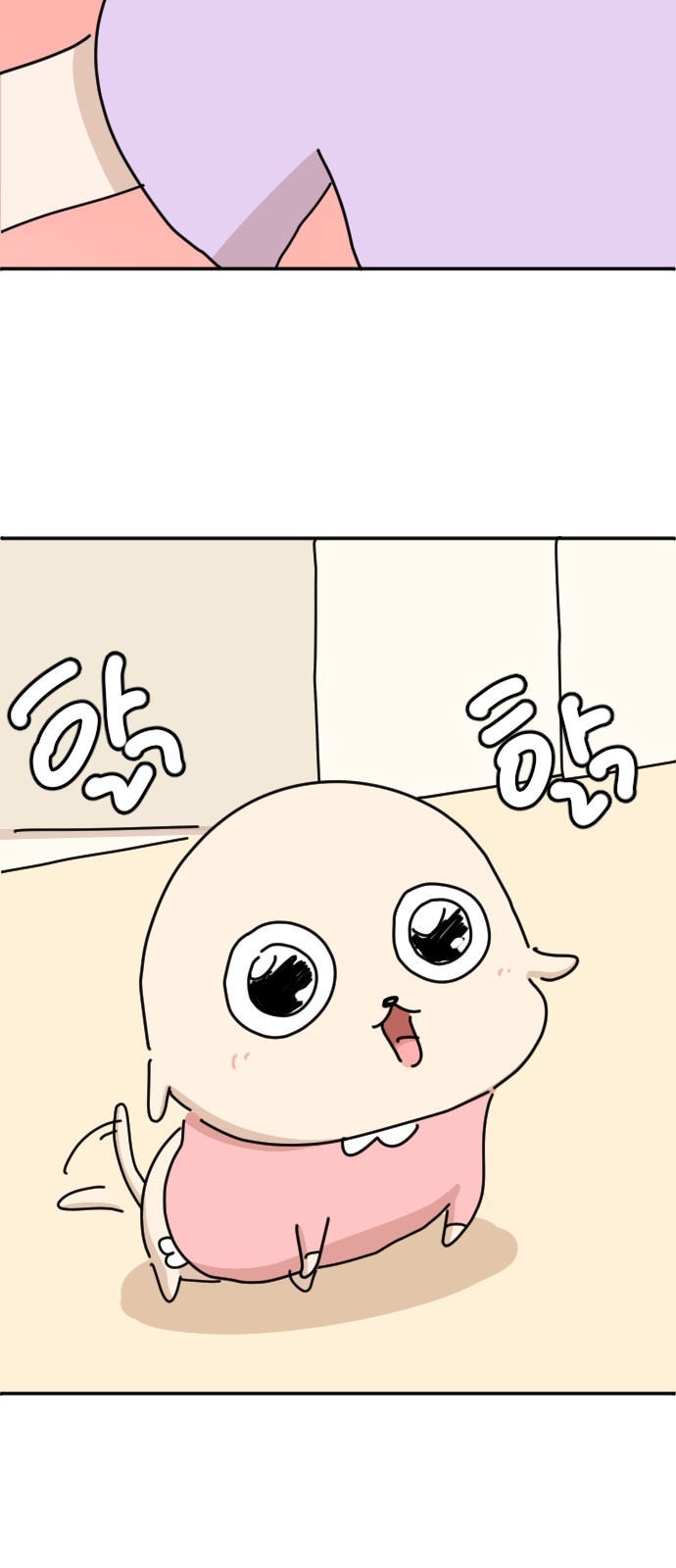 43 페이지