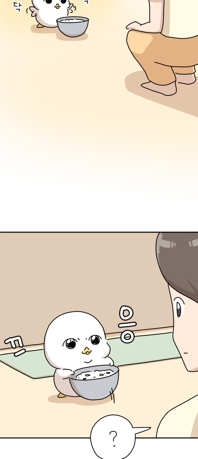 19 페이지