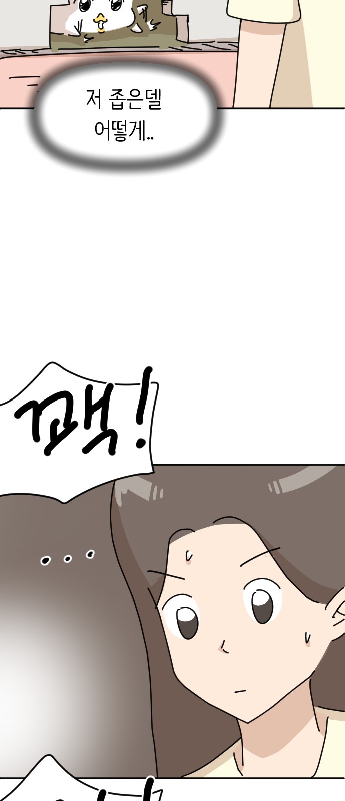 17 페이지