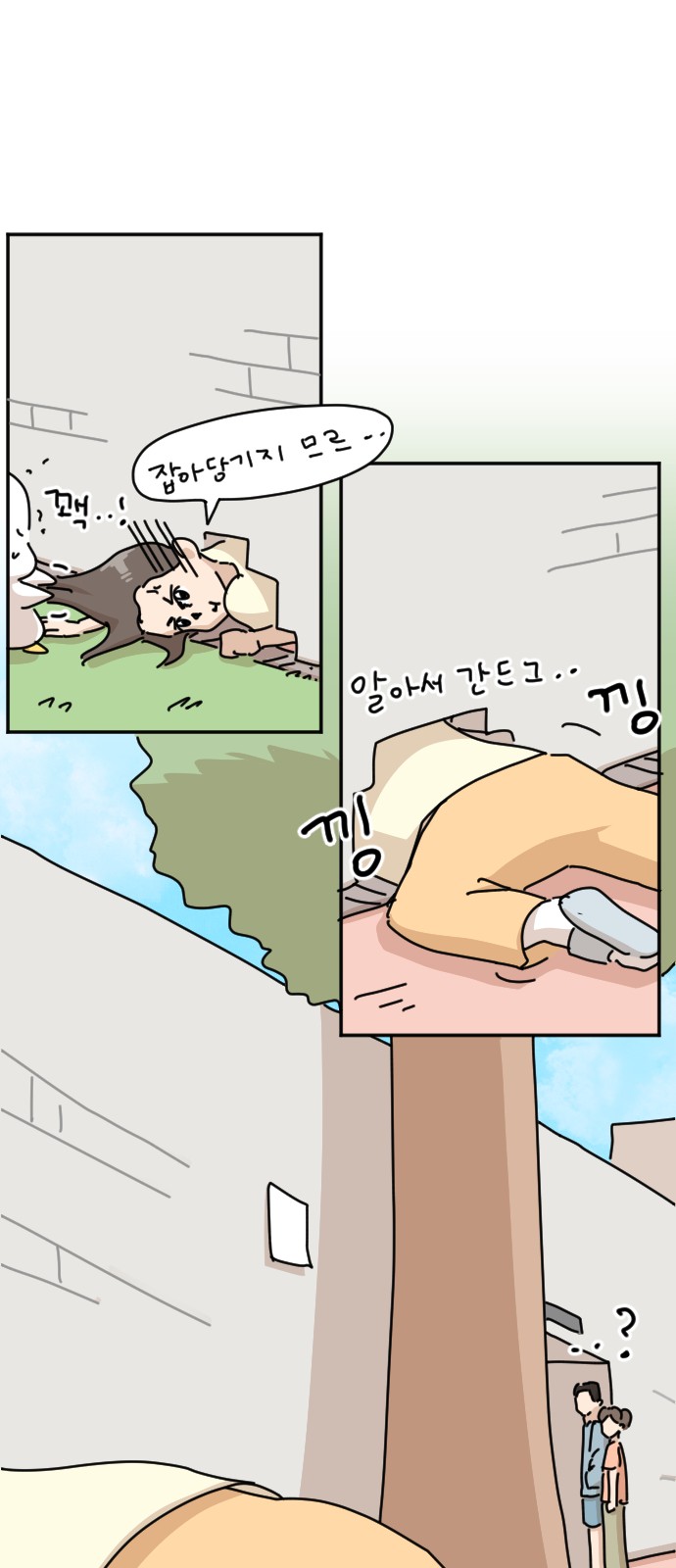 20 페이지