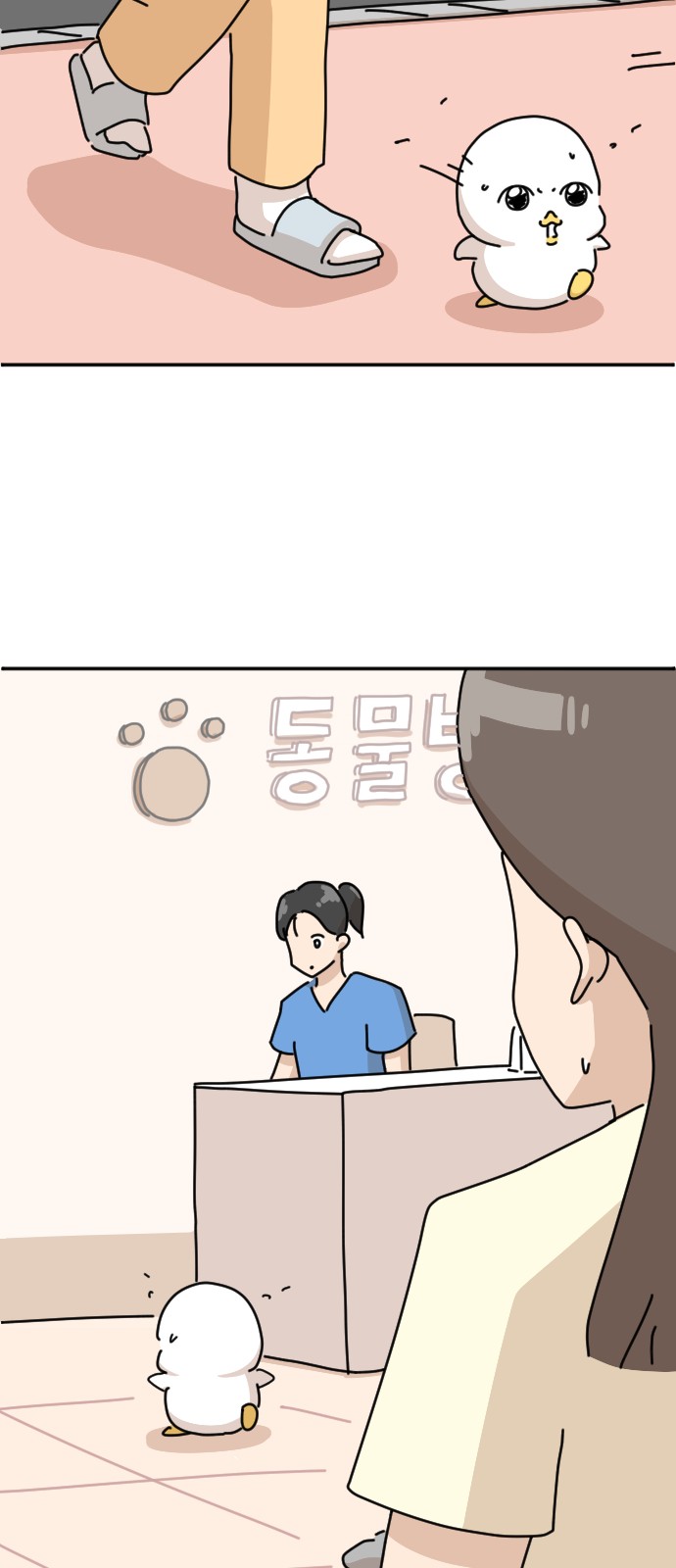 34 페이지