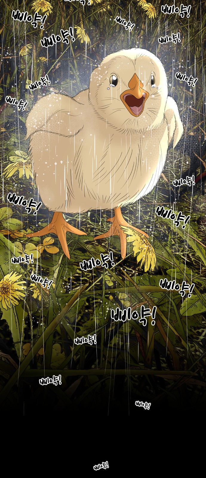 41 페이지