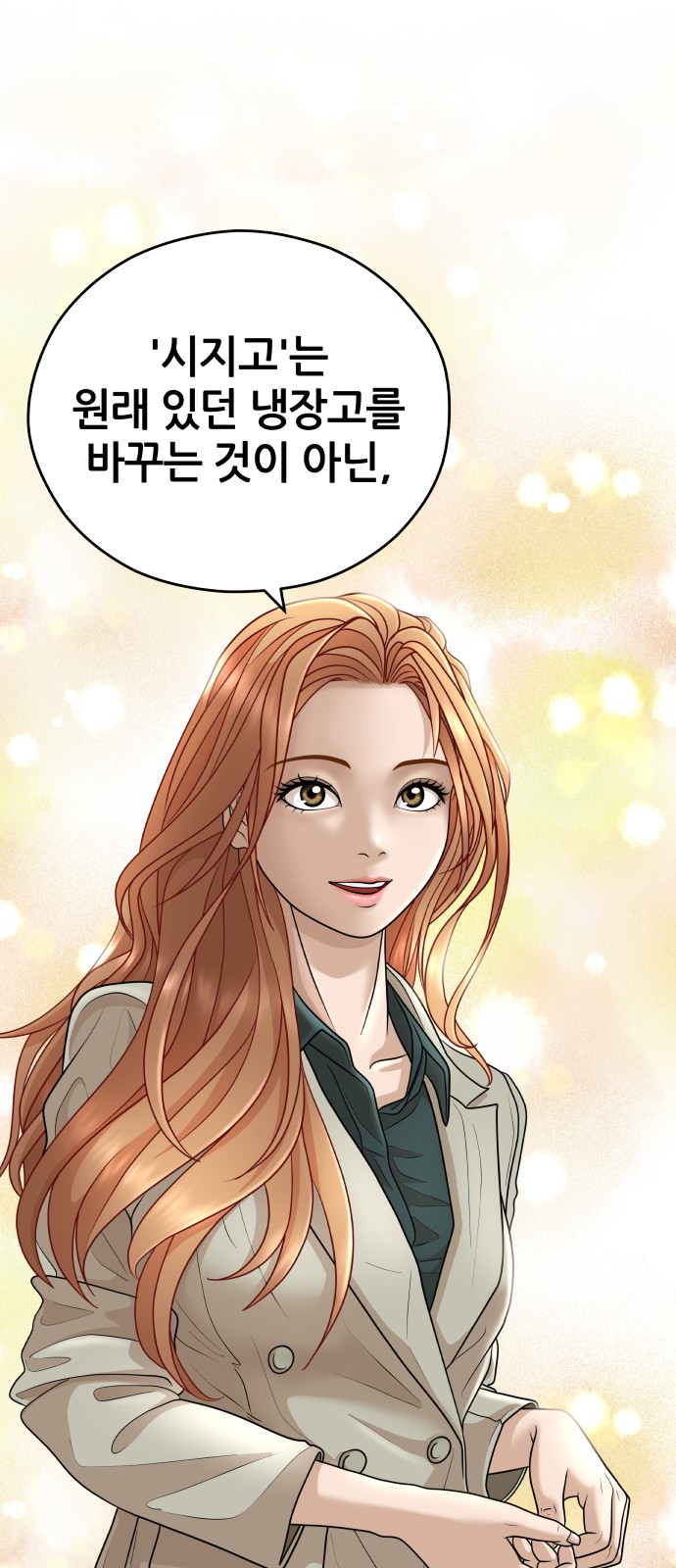 66 페이지