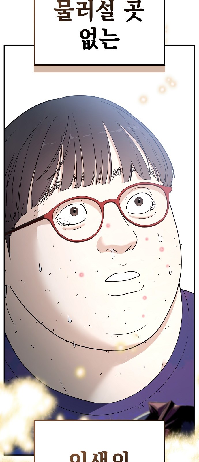 238 페이지