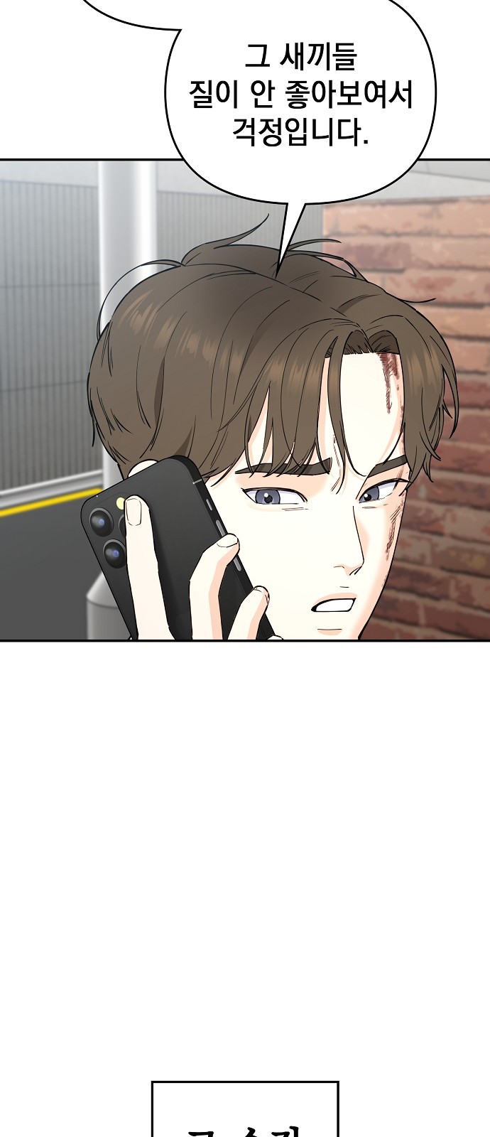 113 페이지