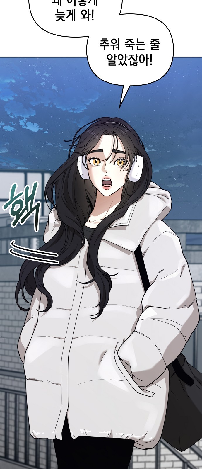 66 페이지