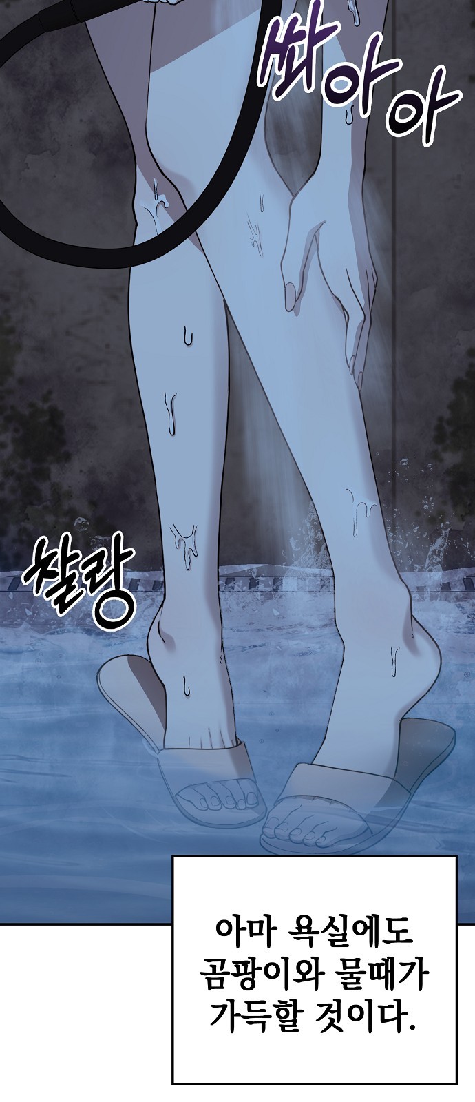 52 페이지